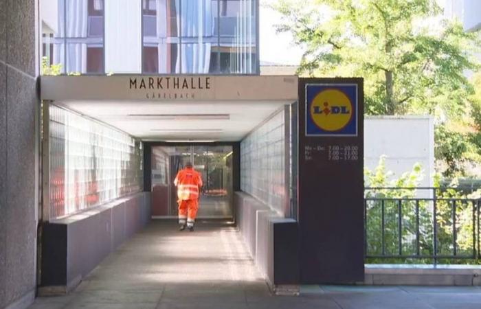 mice create fear in a Lidl which must close