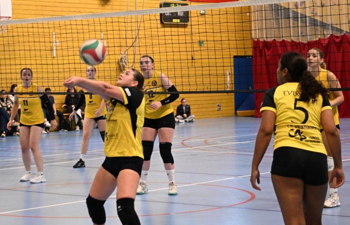 VOLLEY BALL (Pre-national): The women of Le Creusot beaten by Sochaux – Beaucourt