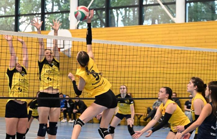 VOLLEY BALL (Pre-national): The women of Le Creusot beaten by Sochaux – Beaucourt