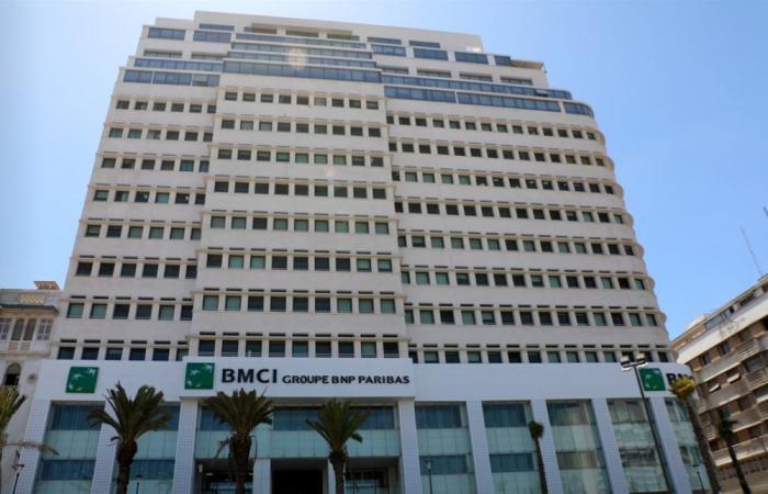 BMCI: Net profit down 2.6% at the end of June 2024