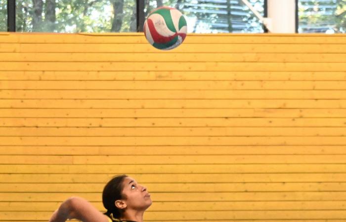 VOLLEY BALL (Pre-national): The women of Le Creusot beaten by Sochaux – Beaucourt