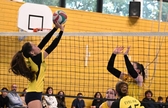 VOLLEY BALL (Pre-national): The women of Le Creusot beaten by Sochaux – Beaucourt