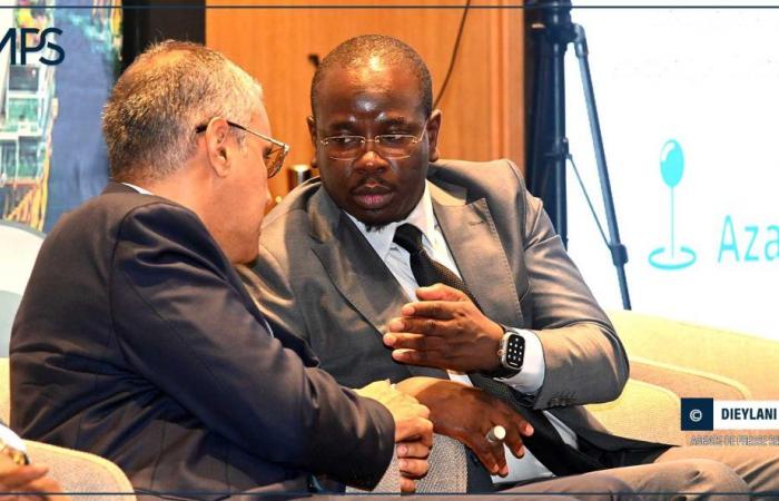 SENEGAL-MAURITANIA-HYDROCARBONS / Birame Souley Diop: ”The Senegalese-Mauritanian partnership on energy is a lever of transformation for the entire region” – Senegalese press agency