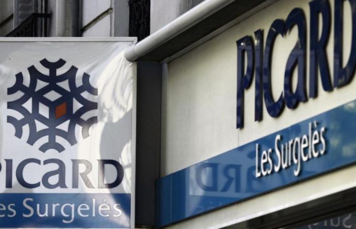 Frozen food specialist Picard about to be bought by a large French family