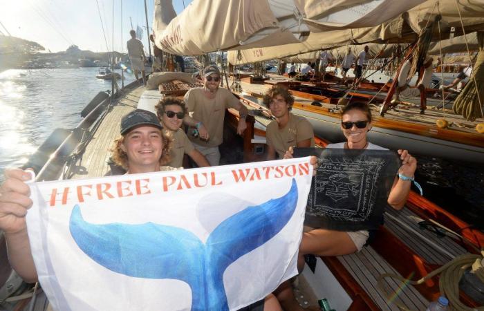 “We have to make it a strong day”: Paul Watson, leading figure of the 26th Voiles de Saint-Tropez