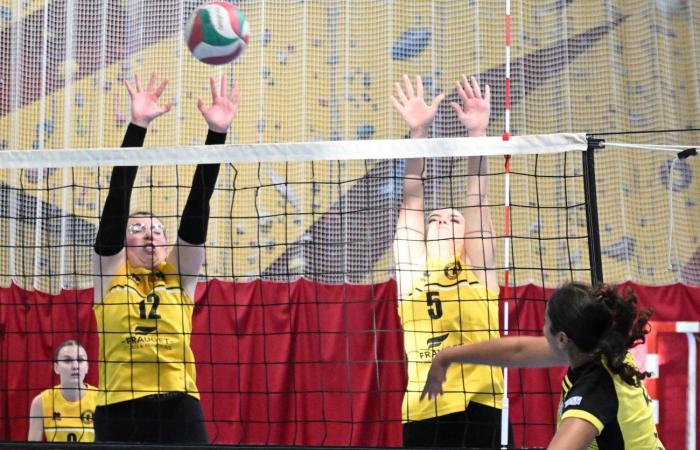 VOLLEY BALL (Pre-national): The women of Le Creusot beaten by Sochaux – Beaucourt