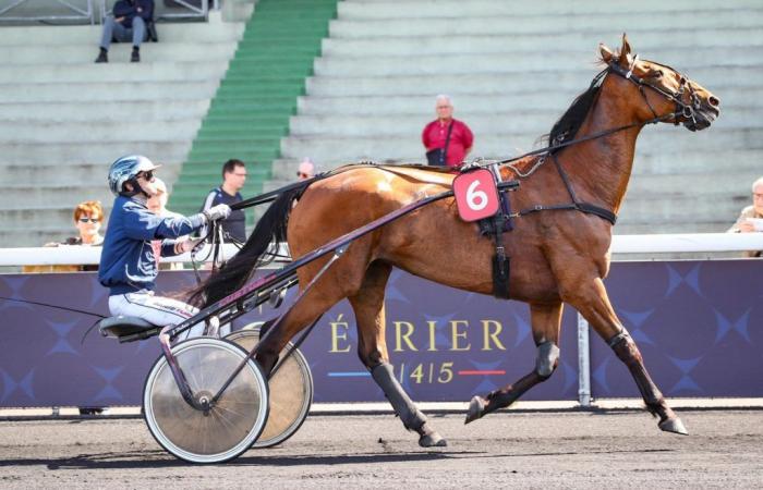 Monday Quinté+ in Enghien – Prix d’Egletons, the Jolie Star bet