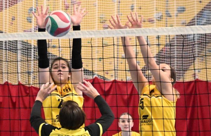 VOLLEY BALL (Pre-national): The women of Le Creusot beaten by Sochaux – Beaucourt