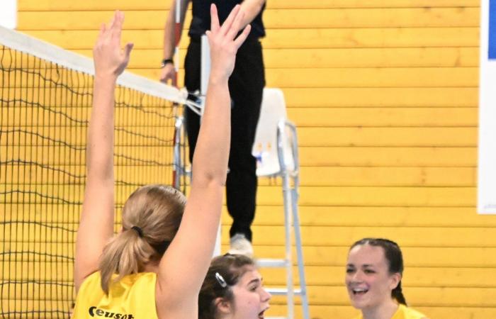 VOLLEY BALL (Pre-national): The women of Le Creusot beaten by Sochaux – Beaucourt