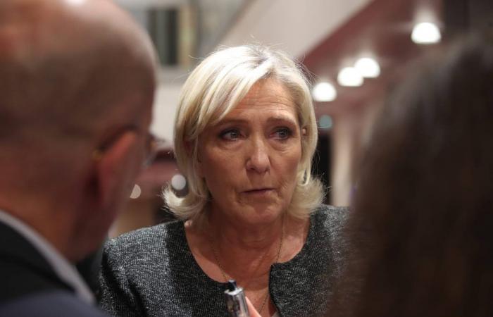 these accusations of fictitious jobs which shake Marine Le Pen