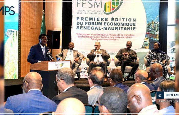 SENEGAL-AFRICA-COOPERATION / Commercial exports from Senegal to Mauritania increase from 39.7 to 112.8 billion in four years (minister) – Senegalese press agency