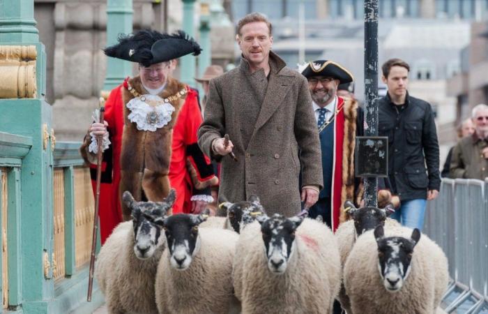 Actor Damian Lewis leads a flock of sheep in the middle of London… to perpetuate a British tradition