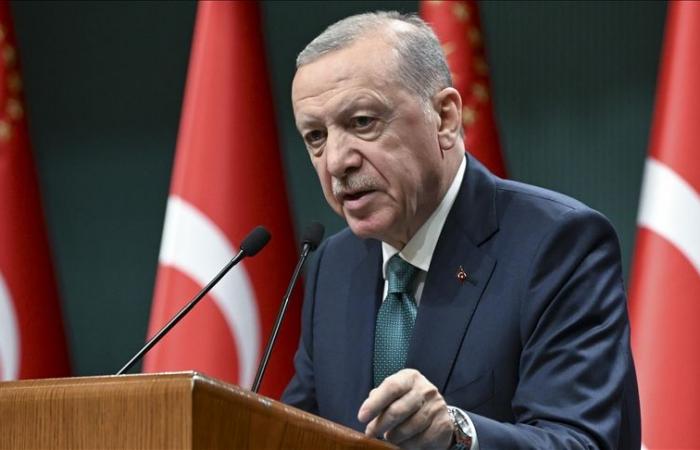 Erdogan urges UN General Assembly to immediately recommend use of force in Gaza