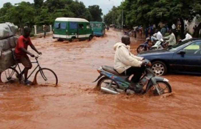 Assimi Goïta declares a state of national disaster