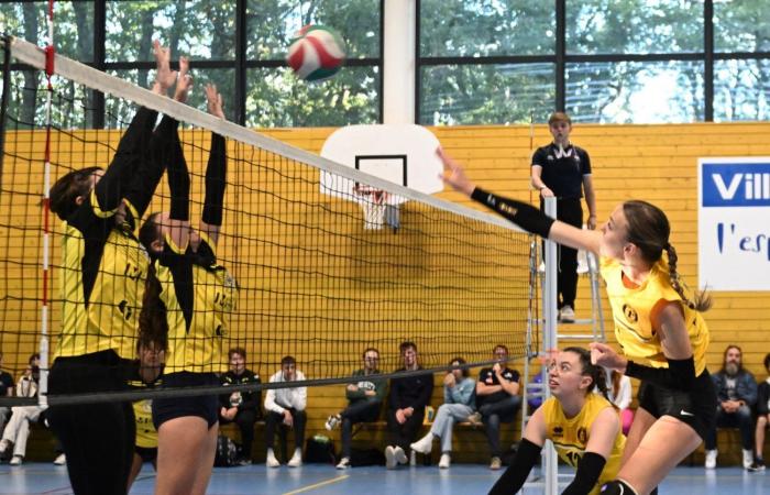 VOLLEY BALL (Pre-national): The women of Le Creusot beaten by Sochaux – Beaucourt