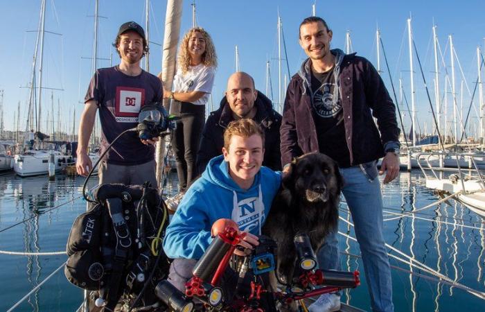 An association broadcasts live scuba dives