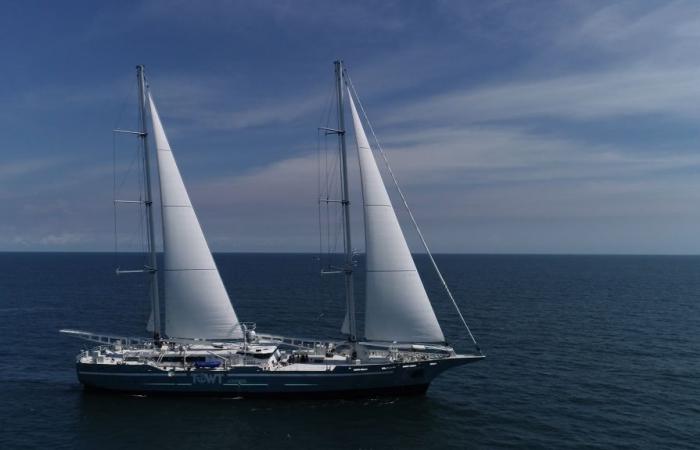 TOWT: the cargo sailboat Artemis stops in Reunion