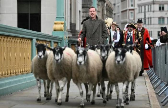 Actor Damian Lewis acts as a shepherd to perpetuate a medieval British tradition