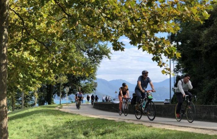 A “happy mess”: when cyclists avoid going around the saturated Lake Annecy