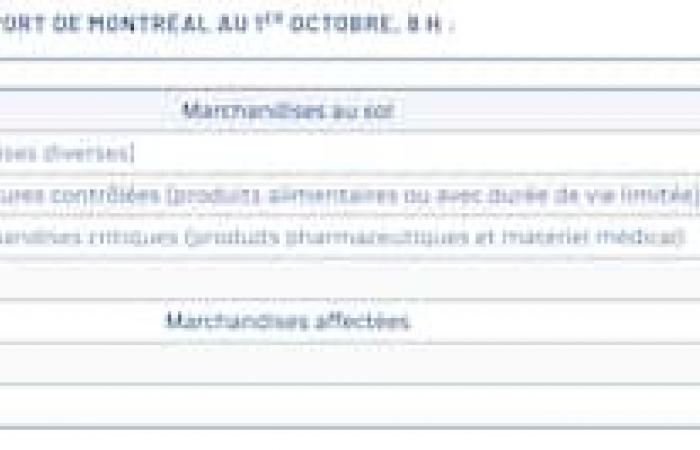 Citrus fruits, mangoes and bananas affected by the crisis in ports: “This situation is critical”