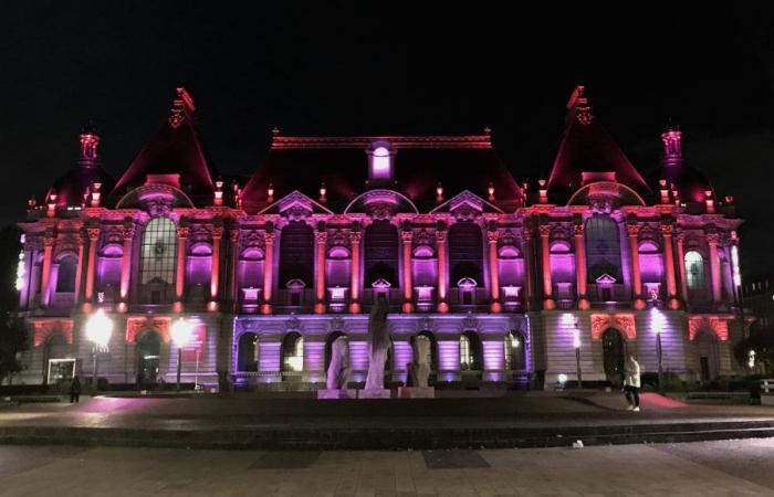 The Palais des Beaux-Arts in Lille is active for Pink October – 01/10/2024