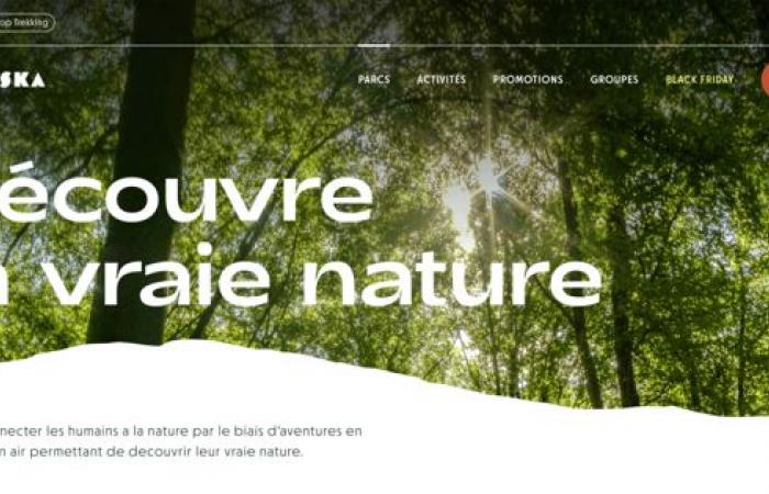 Arbraska and TreeTop Trekking strengthen their image with a new site signed QuatreCentQuatre