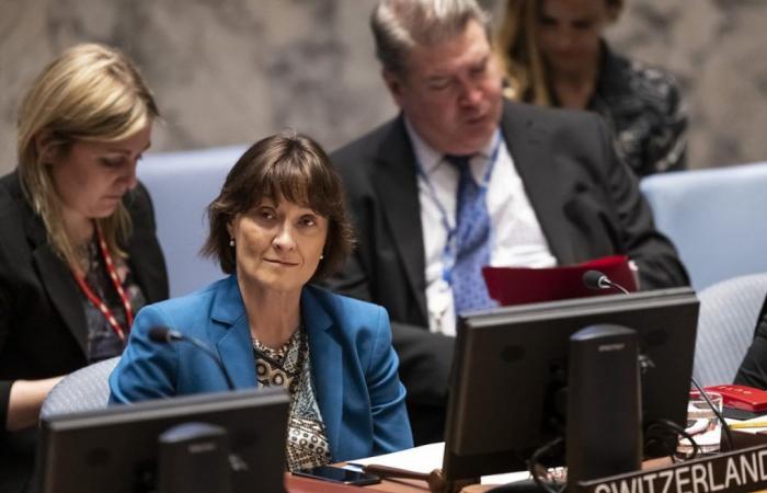 Switzerland will chair a meeting at the Security Council on Wednesday