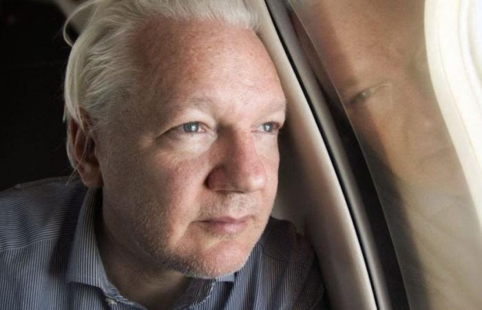 Video. Julian Assange before the Council of Europe: live video