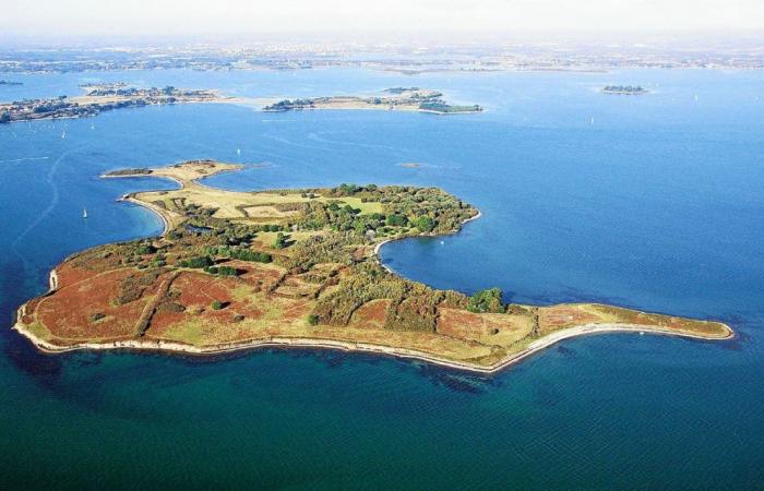 The Gulf of Morbihan tidal project contested before the Council of State