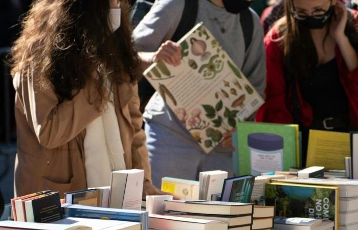 what is the date of the next book fair in Esternay?