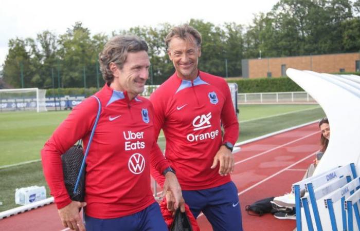 Soccer. No status, the arrival of Léon Marchand’s mental trainer… the basis of the project for Hervé Renard’s successor at Les Bleues