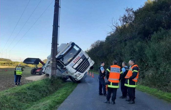 a truck overturns and loses its entire load of wheat