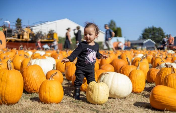 Tuesday promises to be Portland’s sunniest, warmest day of the week; highs near 78