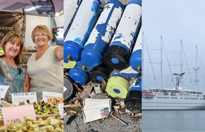 Montpellier exhibition coming soon, laughing gases banned, the largest sailboat in the world… the essential news in the region