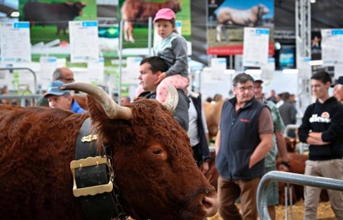 What awaits you at the Clermont-Ferrand Livestock Summit, from October 1 to 4