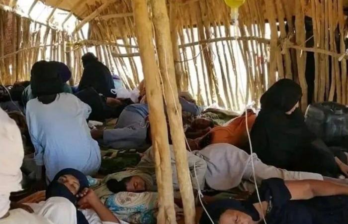 An epidemic of malaria and diphtheria rages in Algeria