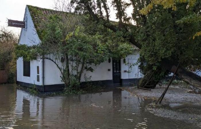 prices soar in flood zones