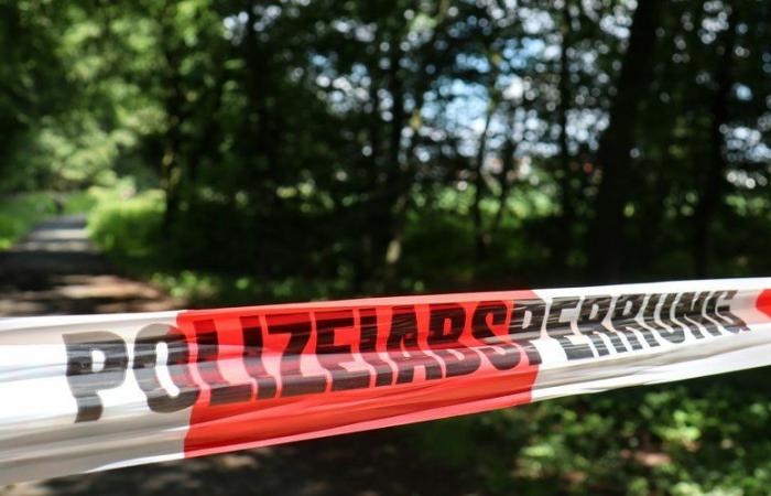 Man arrested after attacking and stabbing three children in Switzerland