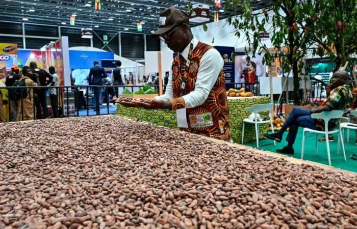 Ivory Coast sets cocoa price at record high