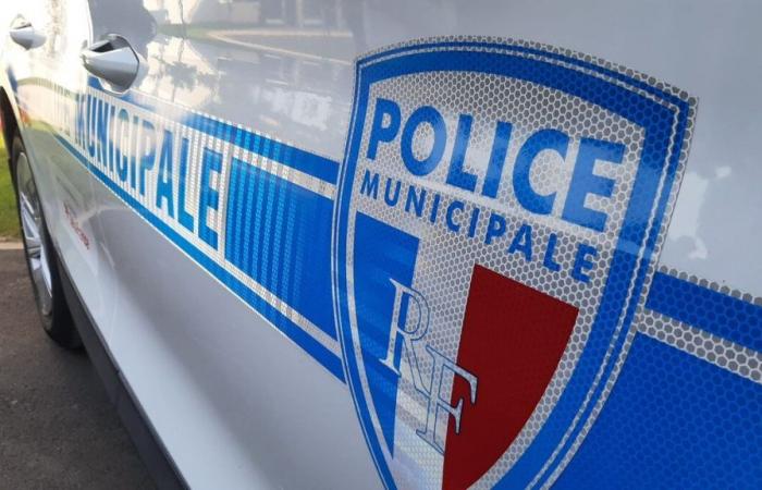 Yvelines: he rushes at three police officers in the middle of a residential area, another refusal to comply in Chesnay