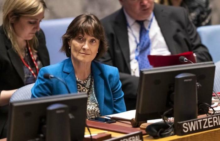 UN: Switzerland expects a meeting of the Security Council soon