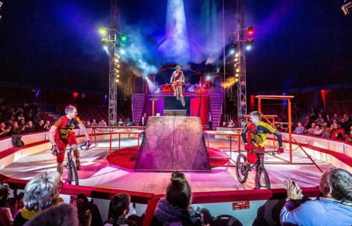 WIN: Free tickets for Circus Chapito (always a prize!)