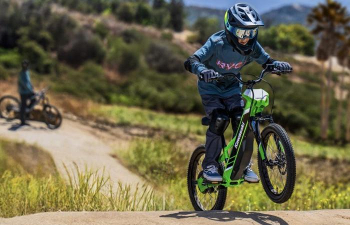 Kawasaki Elektrode 20: the joys of electric two-wheelers for the youngest – Motocross – Enduro – Supermoto