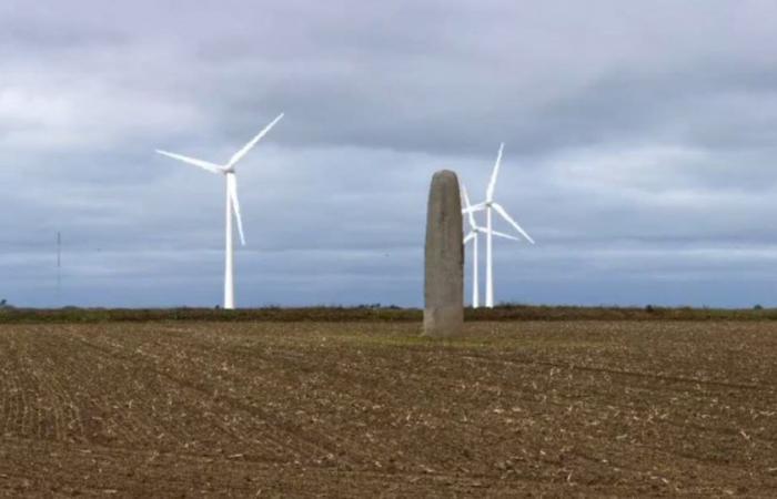 Finistère. Construction of wind farm canceled due to menhirs