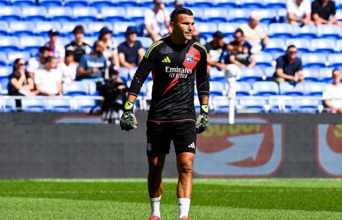 “No one warned me”, the great bitterness of Anthony Lopes, now 4th goalkeeper