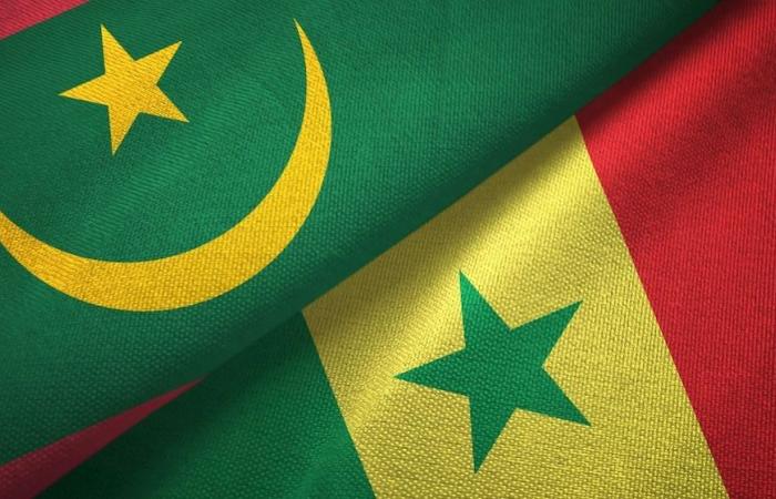 COOPERATION / Serigne Guèye Diop discusses the “major development challenges” for Senegal and Mauritania