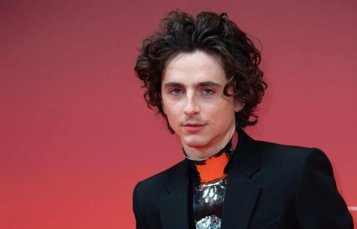 Timothée Chalamet: the surprise baby, big announcement from his sister Pauline during Paris Fashion Week