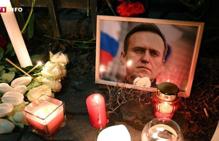 Death of Alexeï Navalny: the theory of the poisoning of the Russian opponent relaunched