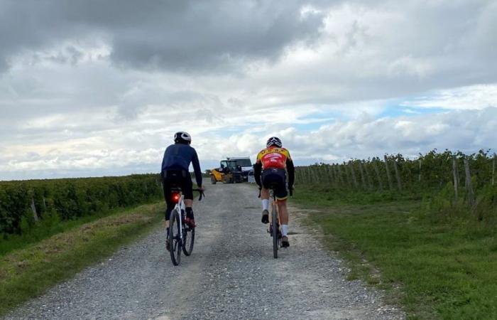 Paris-Tours: the vineyard paths quickly became essential for boosting the cycle race