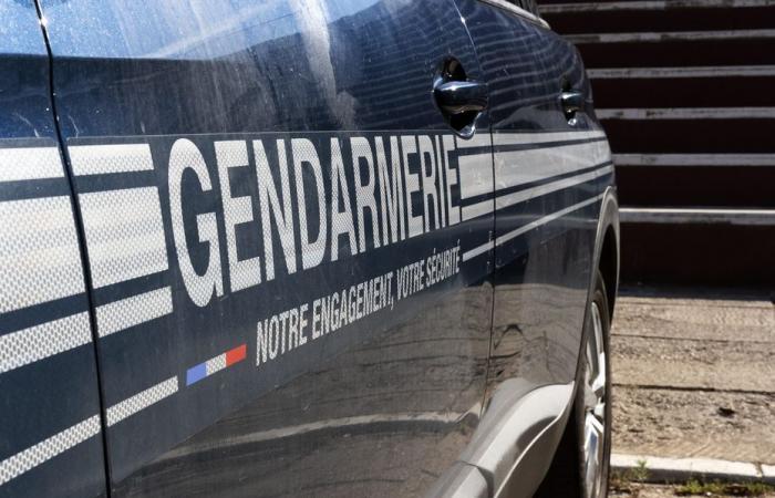 Suspected of having exposed himself in front of little girls, a thirty-year-old placed in police custody in Isère